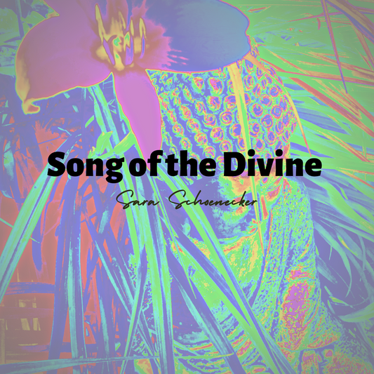 Song of the Divine Guided Meditation with Chakra Healing Tones & Binaural Beats - MP3 Download